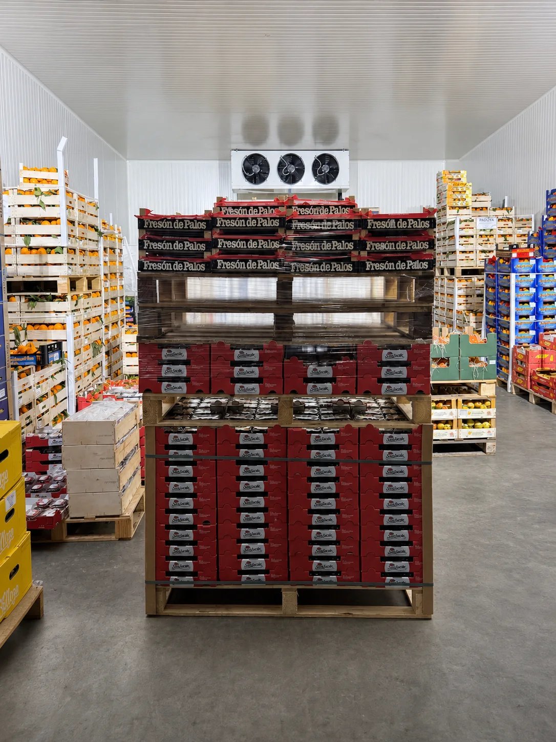 Cella frigorifera del magazzino con pallet di frutta fresca